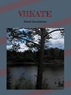 cover image of VIIKATE
